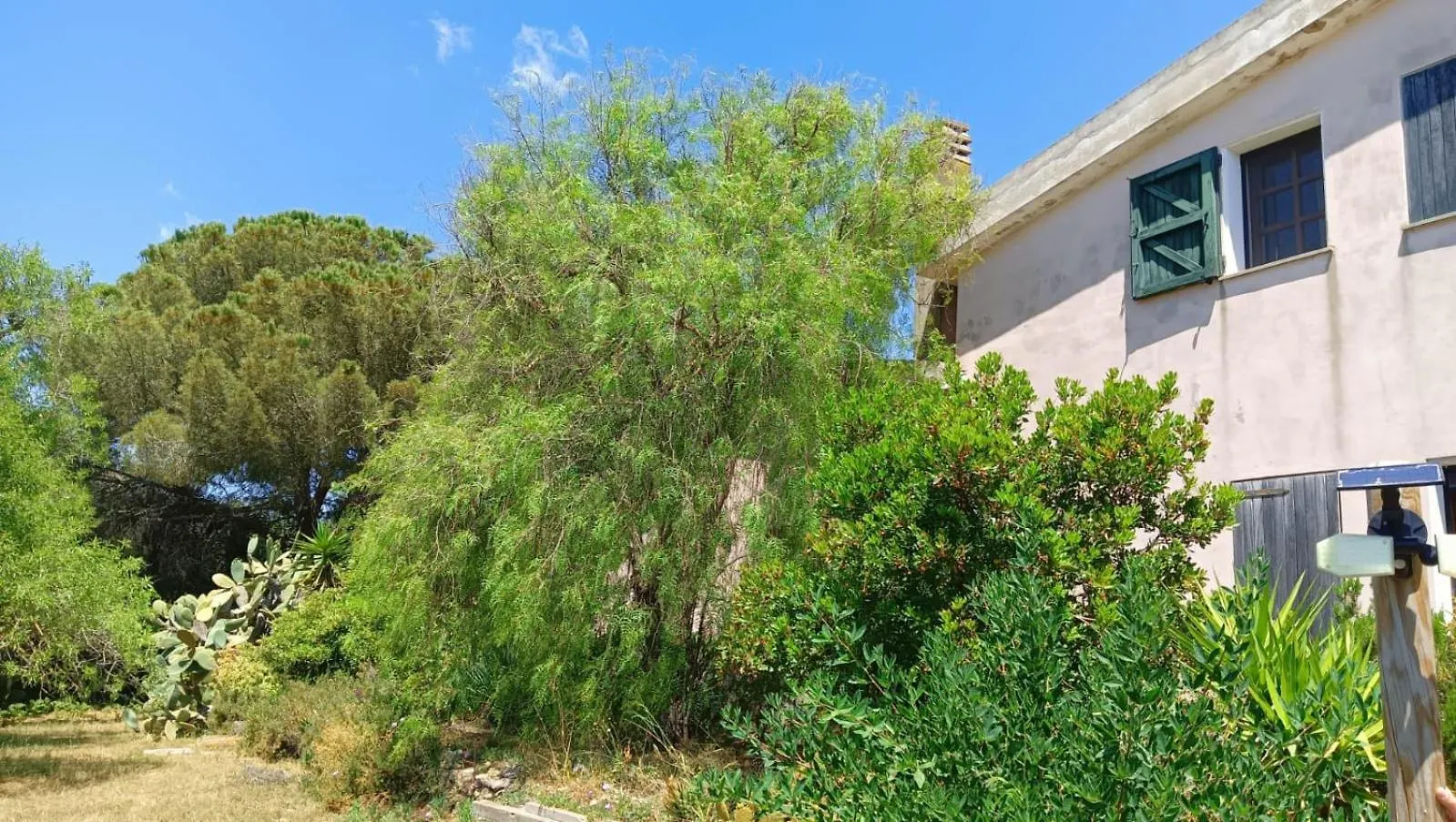 Domus Apartment Alghero